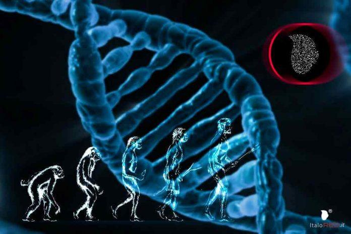 l-DNA-antico-riscrive-la-storia- italored italo