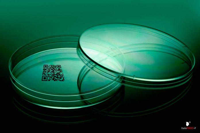 QR_Code italo Red italo