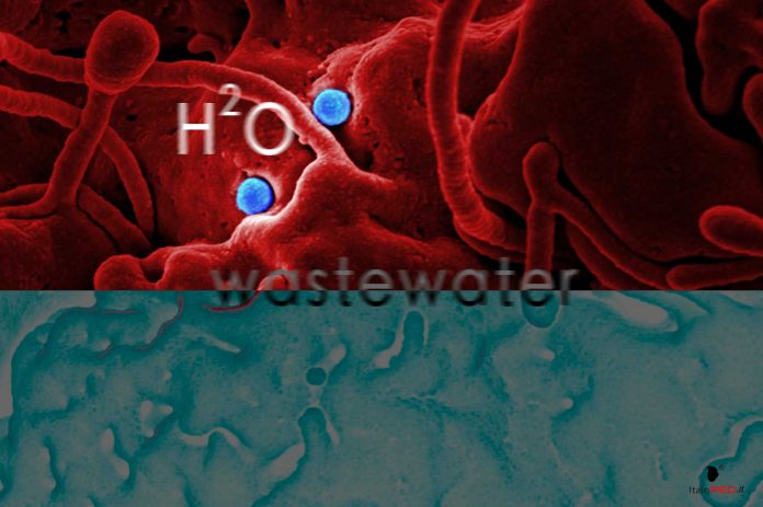 acque_reflue-italo-red-italo